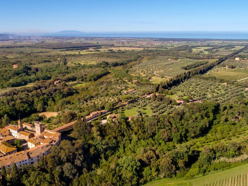 Discovering Bolgheri